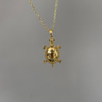 Gold Kaplumbağa Kolye